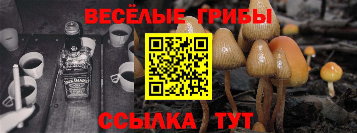 Галлюциногенные грибы ЛСД  Псилоцибиновые грибы GOLDEN TEACHER  Алатырь  Вход с VPN 